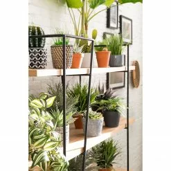 Studio Copenhagen Regal Anadyr - Schwarz / Esche -Büromöbel Verkäufe 1000007393 181114 11415201 GALLERYIMAGES P000000001000007393