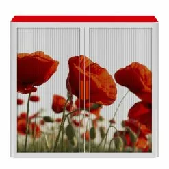 EasyOffice by Paperflow Rollladenschrank easyOffice Nature - Rot -Büromöbel Verkäufe 1000071485 210831 09455500003 DETAILS P000000001000071485