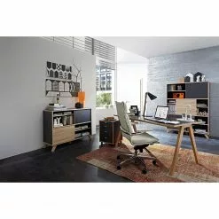 Germania Sideboard Svene - Anthrazit / Eiche Sonoma Dekor - Breite: 120 cm -Büromöbel Verkäufe 1000166773 190329 13033300155 MOOD GALLERYIMAGES P000000001000166773 mood