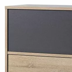 Germania Sideboard Svene - Anthrazit / Eiche Sonoma Dekor - Breite: 120 cm -Büromöbel Verkäufe 1000166773 190329 13033300157 GALLERYIMAGES P000000001000166773