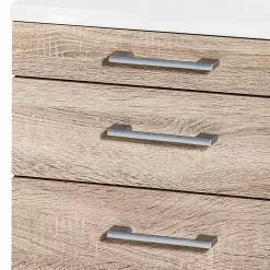 Furnitive Standcontainer Lezan - Silber - Eiche Sonoma Dekor / Weiß 8 Furnitive Standcontainer Lezan - Silber - Eiche Sonoma Dekor / Weiß -Büromöbel Verkäufe 1000191326 191031 16045500061 DETAILS P000000001000191326