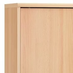 Furnitive Schiebetürenregal Legon I - Buche Dekor -Büromöbel Verkäufe 1000191350 191031 16045900135 DETAILS P000000001000191350