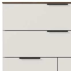 Germania Aktenschrank Ancona II - Kaschmir / Nussbaum Dekor -Büromöbel Verkäufe 1000196990 191203 06445800037 DETAILS P000000001000196990