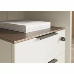 Germania Büroset Ancona I (2-teilig) - Metall - Kaschmir / Nussbaum Dekor 21 Germania Büroset Ancona I (2-teilig) - Metall - Kaschmir / Nussbaum Dekor -Büromöbel Verkäufe 1000197004 191203 06450000095 DETAILS P000000001000197004