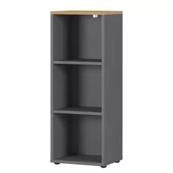 Germania Aktenregal GW-Agenda - Eiche Grandson Dekor / Graphit - 45 x 120 cm
