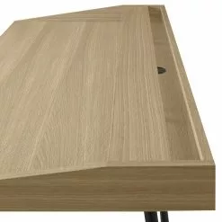 Temahome Schreibtisch Ply II - Eiche teilmassiv / Metall - Eiche Hell / Schwarz 29 Temahome Schreibtisch Ply II - Eiche teilmassiv / Metall - Eiche Hell / Schwarz -Büromöbel Verkäufe 1000214019 200527 06044600041 DETAILS P000000001000214019