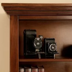 Ridgevalley Regal Brieux II - Echtholzfurnier - Tulpenbaum Antik 22 Ridgevalley Regal Brieux II - Echtholzfurnier - Tulpenbaum Antik -Büromöbel Verkäufe 1000230623 201113 12540800093 DETAILS P000000001000230623