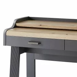 Ridgevalley Sekretär Jasmund - Graphit -Büromöbel Verkäufe 1000245000 210504 06305800072 DETAILS P000000001000245000