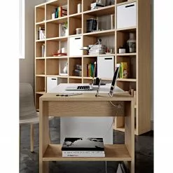 Temahome Regal Pombal III - Eiche -Büromöbel Verkäufe 1000255998 210331 14493300216 MOOD DETAILS P000000001000255998 mood