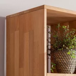 Ars Natura Regal GrapWOOD III - Kernbuche massiv -Büromöbel Verkäufe regal grapwood iii kernbuche massiv 3389265